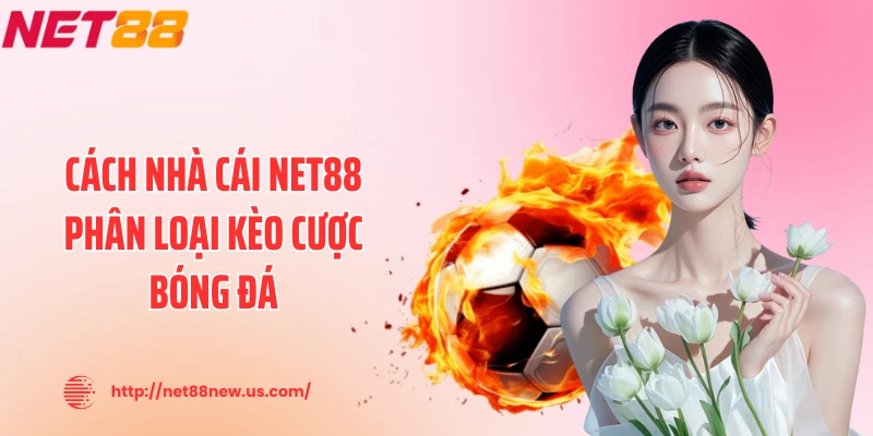 Cách nhà cái NET88 phân loại kèo cược bóng đá