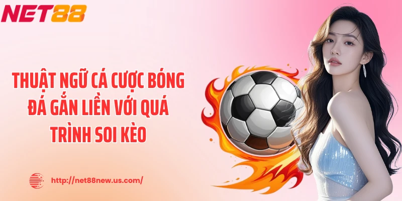 Thuật ngữ cá cược bóng đá gắn liền với quá trình soi kèo