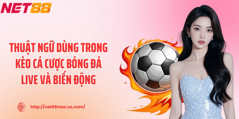 Thuật ngữ dùng trong kèo cá cược bóng đá live và biến động